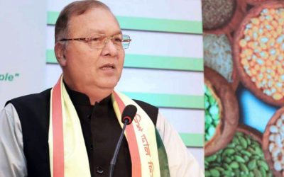 ১৫ বছরে ডালের উৎপাদন বেড়েছে ৪ গুণ, লক্ষ্য এখন স্বয়ংসম্পূর্ণতা