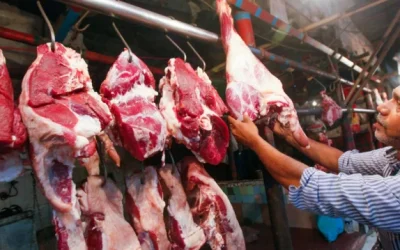 ১০ মার্চ থেকে ৬০০ টাকায় গরুর মাংস বিক্রি