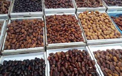 রমজানে ৯৩ দেশকে খেজুর উপহার দিয়েছে সৌদি আরব