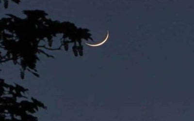 পবিত্র রমজান মাসের চাঁদ দেখা গেছে, রোজা শুরু কাল
