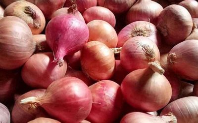 হিলিতে পেঁয়াজের দাম কেজিতে কমেছে ৫০ টাকা