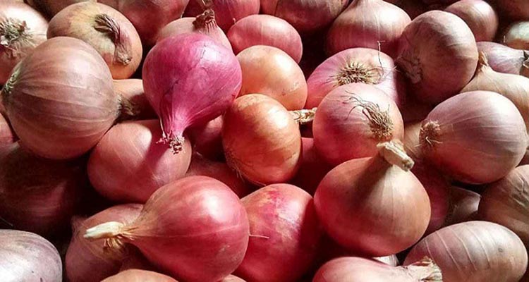 হিলিতে পেঁয়াজের দাম কেজিতে কমেছে ৫০ টাকা