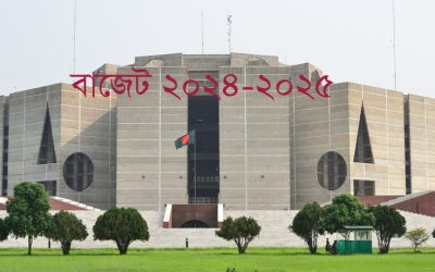 ২০২৪-২৫ অর্থবছরের বাজেটে যেসব পণ্যের দাম বাড়বে-কমবে