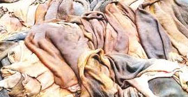 কোরবানির পশুর চামড়ার দাম নির্ধারণ