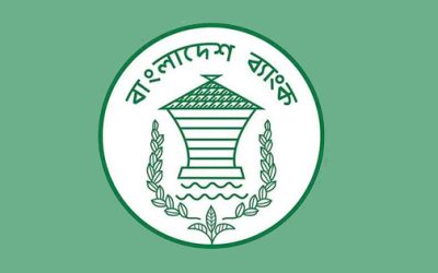 অন্তর্বর্তী সরকারের মেয়াদে বাংলাদেশ ব্যাংক অর্ডার সংশোধন স্থগিত