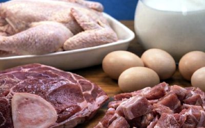 রমজানে ন্যায্যমূল্যে প্রাণিজ পণ্য বিক্রির উদ্যোগ মৎস্য ও প্রাণিসম্পদ মন্ত্রণালয়ের